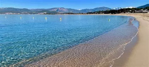 oip.j6hcociffvzplvtfqpxgsqhadw